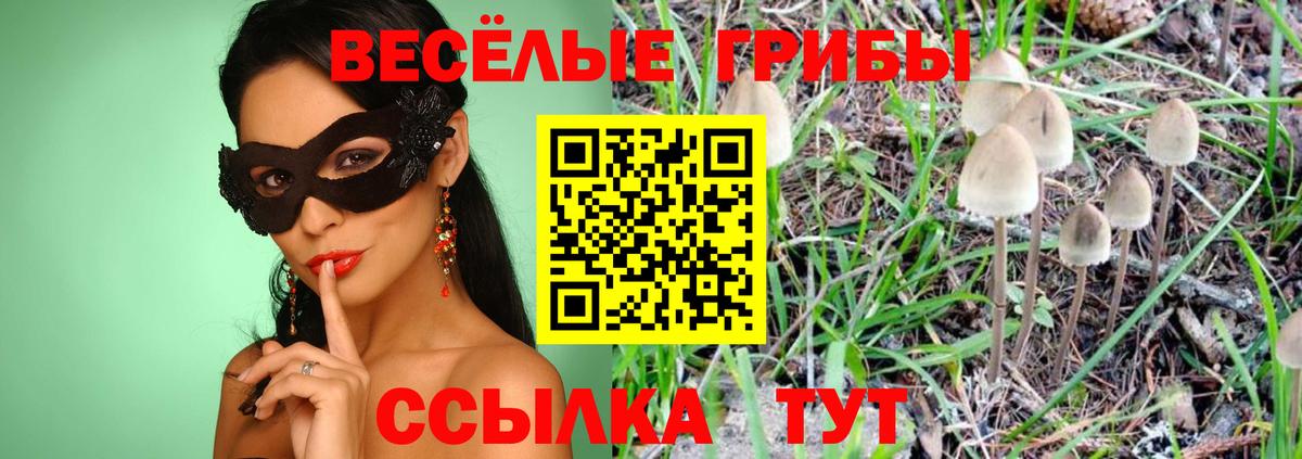 Галлюциногенные грибы Psilocybine cubensis Октябрьский